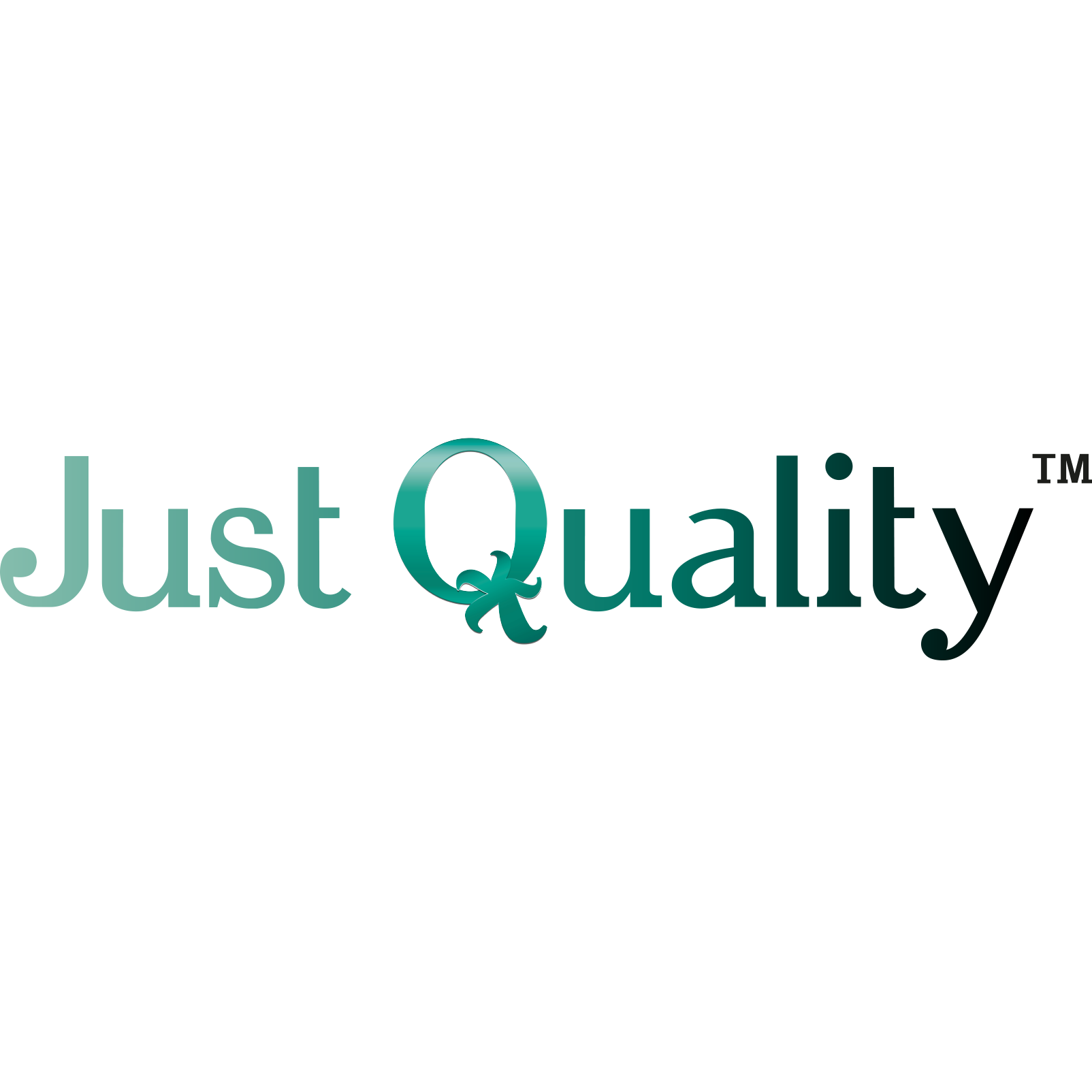 JUST QUALITY SYSTEMS S.L.